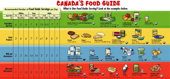 The Canada Food Guide illustrates the different food categories needed.